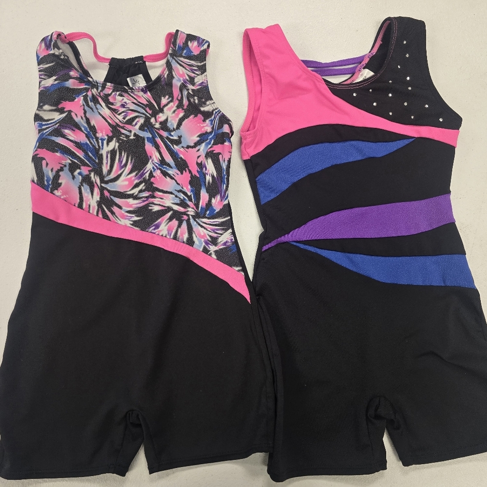 Danskin Pink and Purple Gymnastics Leotard